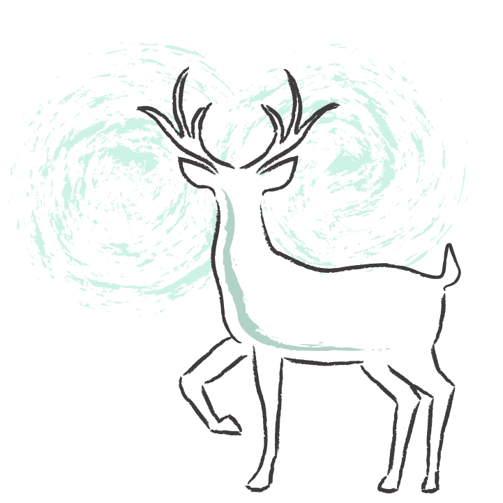A deer frozen in headlights.