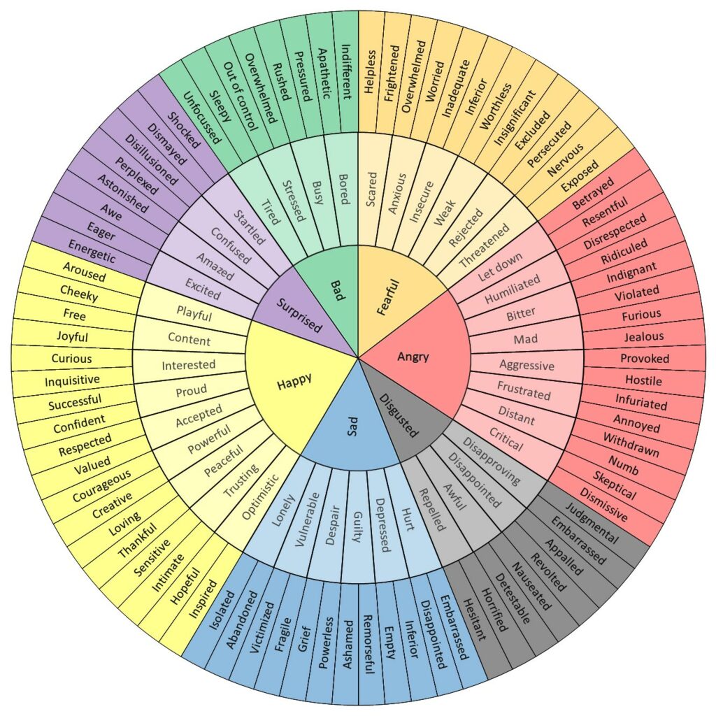 An emotional literacy that has proven effective is a feelings wheel for financial wellness clients.